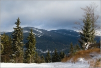 <p>Krkonoše - na Čertově hoře</p>